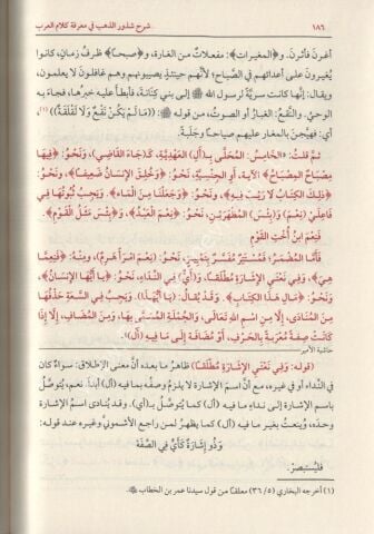 ŞERHU ŞÜZURÜZ ZEHEB شرح شذور الذهب في معرفة كلام العرب