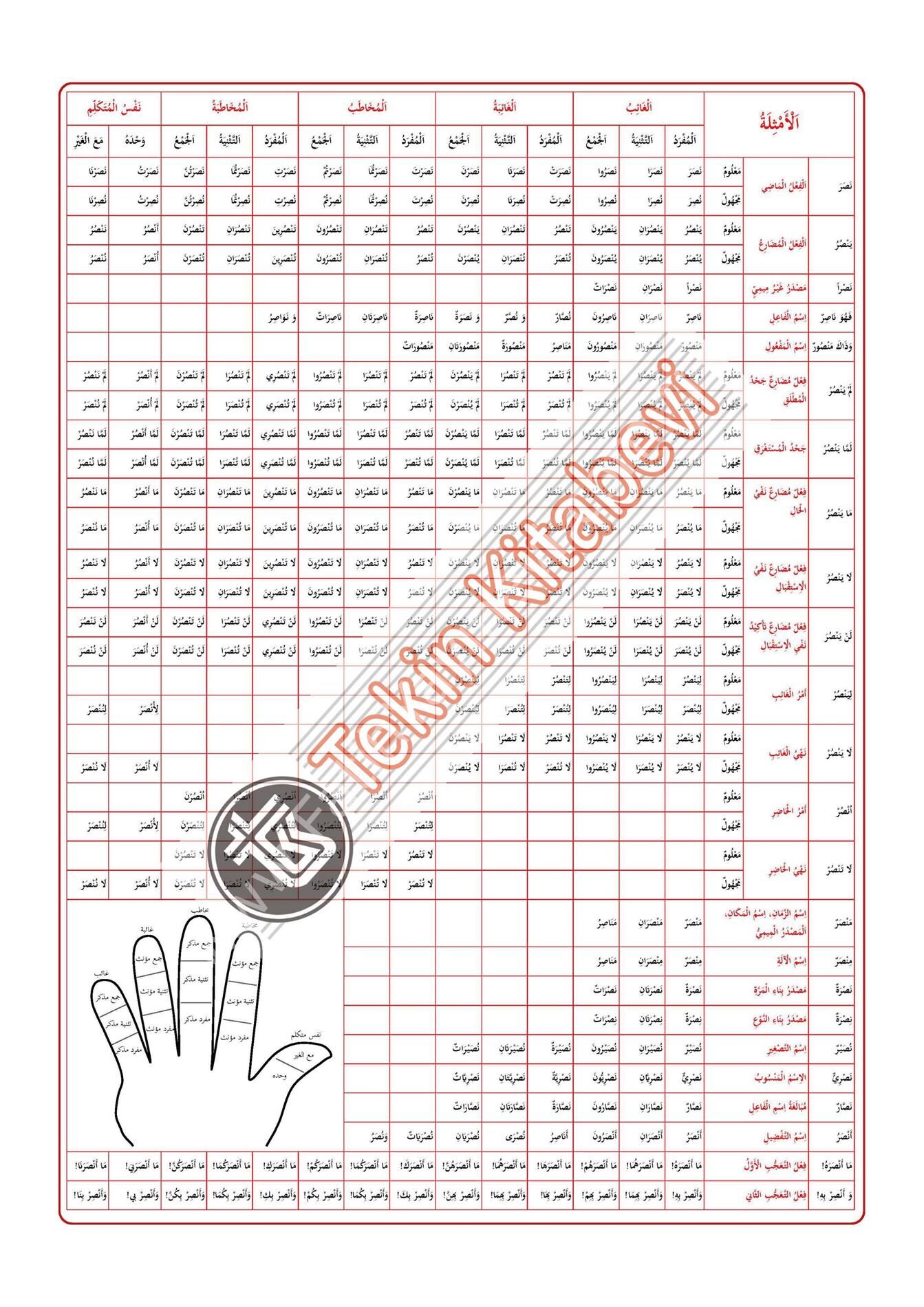 EMSİLE - BİNA ŞEMASI