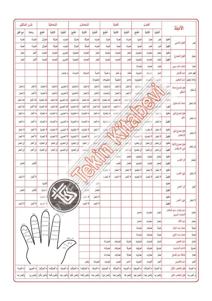 EMSİLE - BİNA ŞEMASI