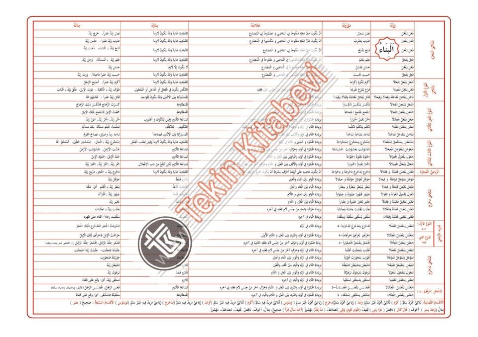 EMSİLE - BİNA ŞEMASI