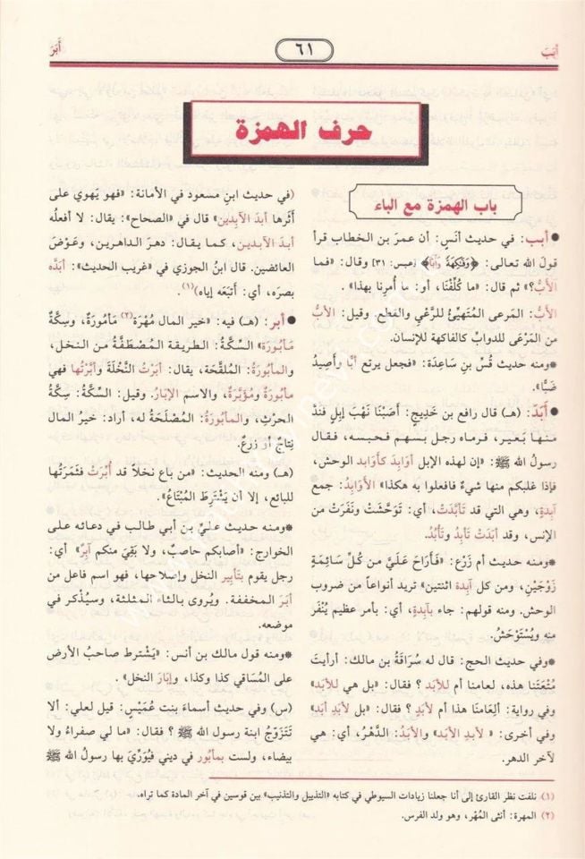 En-Nihaye fi Garibil-Hadis vel-Eser ve maahu Et-Tezyil vet-Teznib ala Nihayetil-Garib lil-İmam Es-Suyuti - النهاية في غريب الحديث والأثر