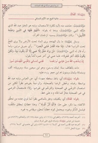 HAŞİYETU DİMYATİ ALER RAMLİ Ş.SİTTİNE MESELE حاشية الدمياطي على شرح الرملي على متن الستين مسألة