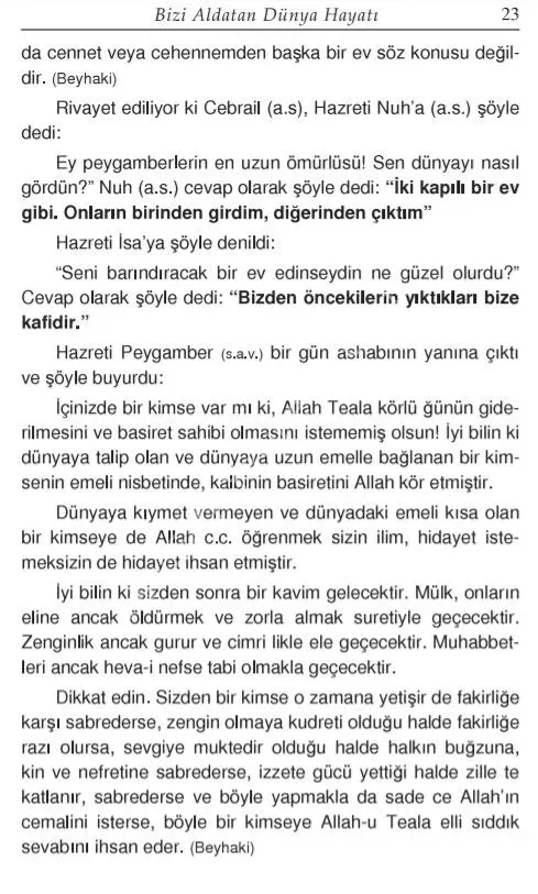 Bizi Aldatan Dünya Hayatı