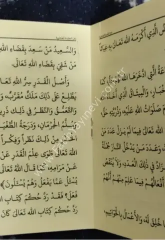 Mütünül Akaid (Akaid Metinleri) cep boy /متن  العقائد