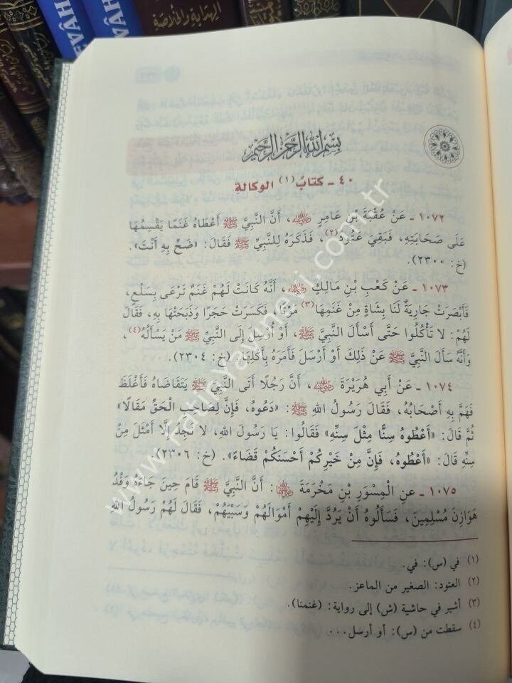 et Tecridus Sarih li ehadisil Cami'is Sahih - Muhtasarul Buhari (Zebidi) / التجريد الصريح لأحاديث الجامع الصحيح (مختصر الزبيدي)