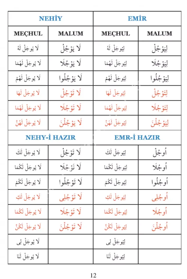 Arapçada Fiil ve İsim Çekimleri Tasrif Roman Boy / تصريف الافعال والأسماء في العربية