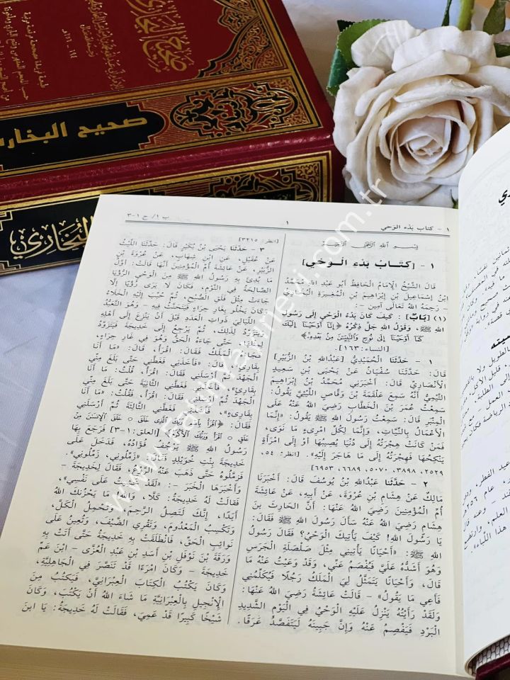 Sahihul Buhari (Feyha) / صحيح البخاري