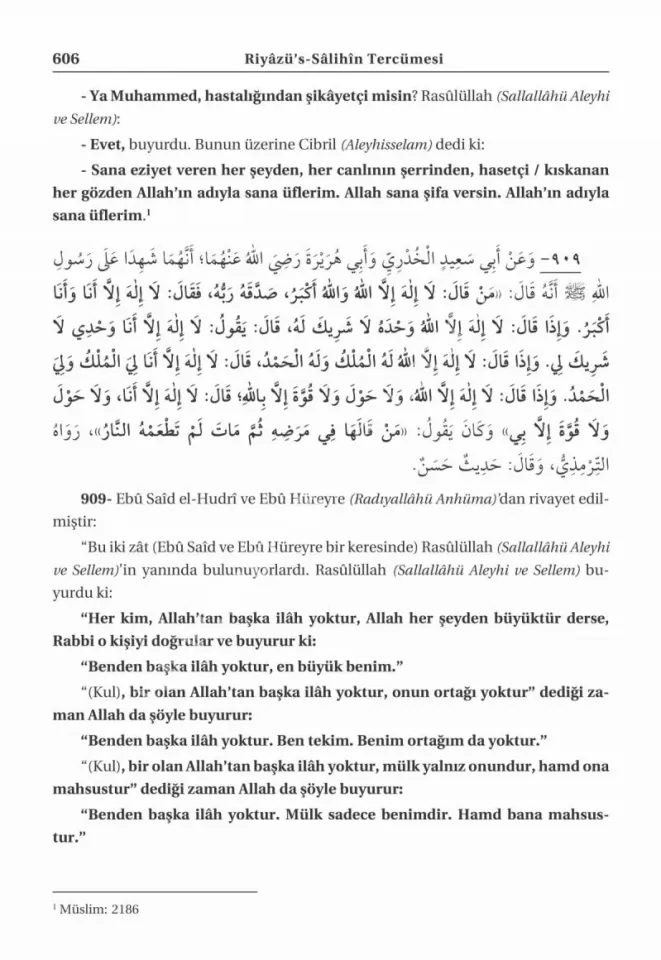 Riyazüs Salihin ve Tercümesi Şamua