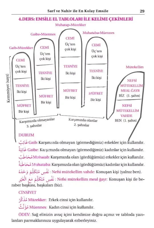 Geniş İzahlı Sarf ve Nahiv EMSİLE