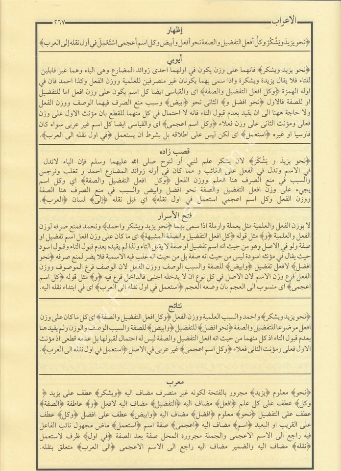 Şuruhu’l-İzhar – İzhar Metni ve Beraberinde 5 Şerh - Eyyübi, KasapZade, Fethul Esrar, Netaicul Efkar, Mu'ribul İzhar - / شروح الإظهار ويحتوي على ستة كتب من شروح الإظهار