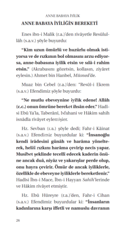 Anne Babaya Iyilik