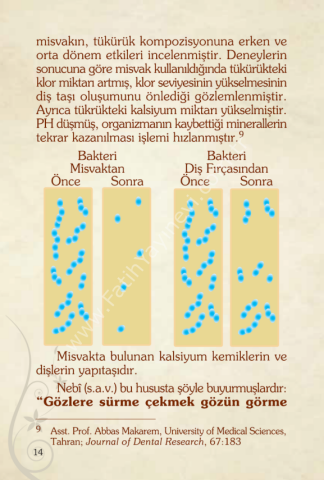 Sağlıklı Yaşam Için Vazgeçilmeyecek Iki Sünnet Misvak Ve Hacamat (CEP BOY)