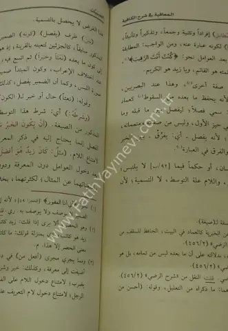 Elmuafiye şerhul kafiye