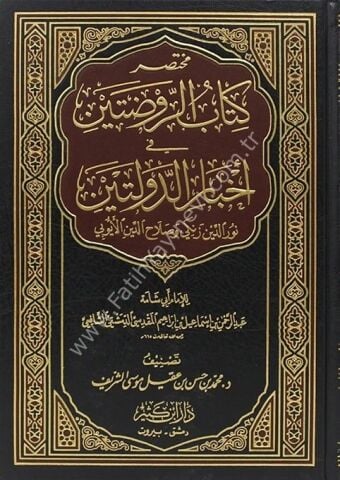 مختصر كتاب الروضتين في أخبار الدولتين