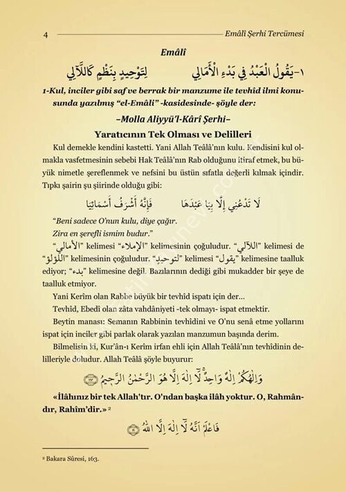 Şerhul-Emâlî Tercümesi (Kırık Manalı - İzahlı)