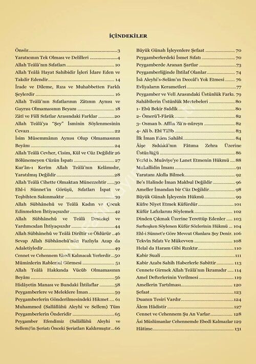 Şerhul-Emâlî Tercümesi (Kırık Manalı - İzahlı)