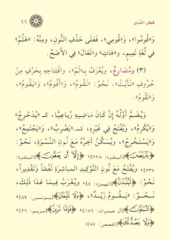 Metnu Katri’n-Nedâ ve Belli’s-Sadâ ve Metnu’l- Muğnî fi’n-Nahv / متن قطر الندى وبل الصدى ومتن المغني في النحو